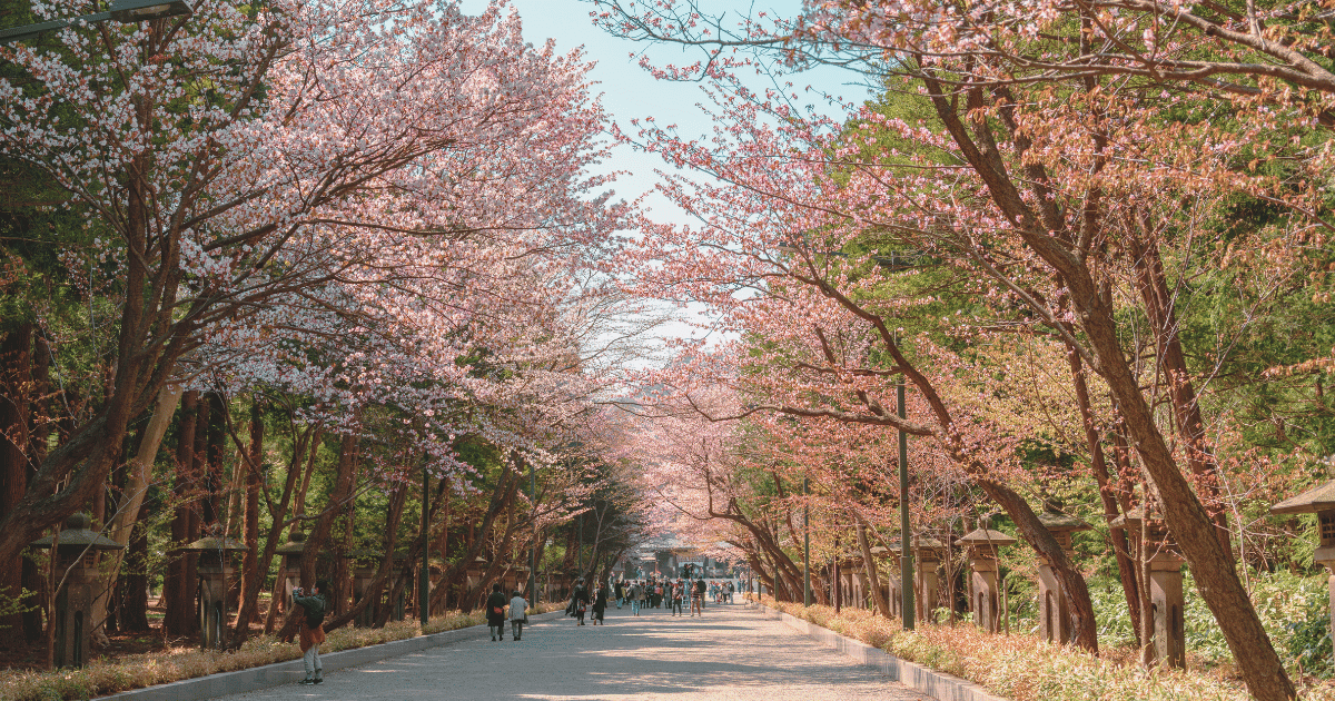 GW後半に楽しむ札幌近郊観光の魅力