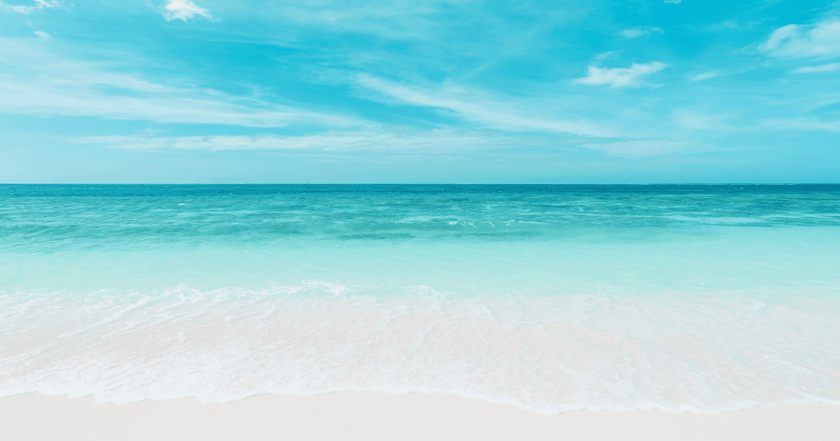 「人手不足×ヒトデ不足」~陸と海の危機を一発解決する奇想天外ビジネスプラン~