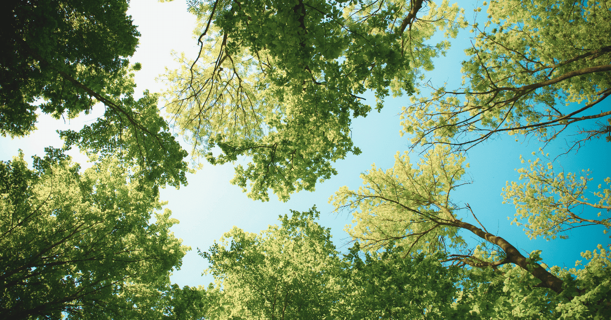 カラフルな四季が楽しめる札幌の宝石箱!農試公園の魅力を探る