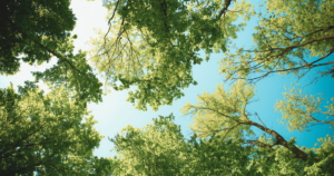 カラフルな四季が楽しめる札幌の宝石箱！農試公園の魅力を探る