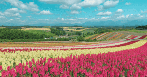 北海道ドライブ完全ガイド！絶景ルートからおすすめ観光スポットまで徹底解説