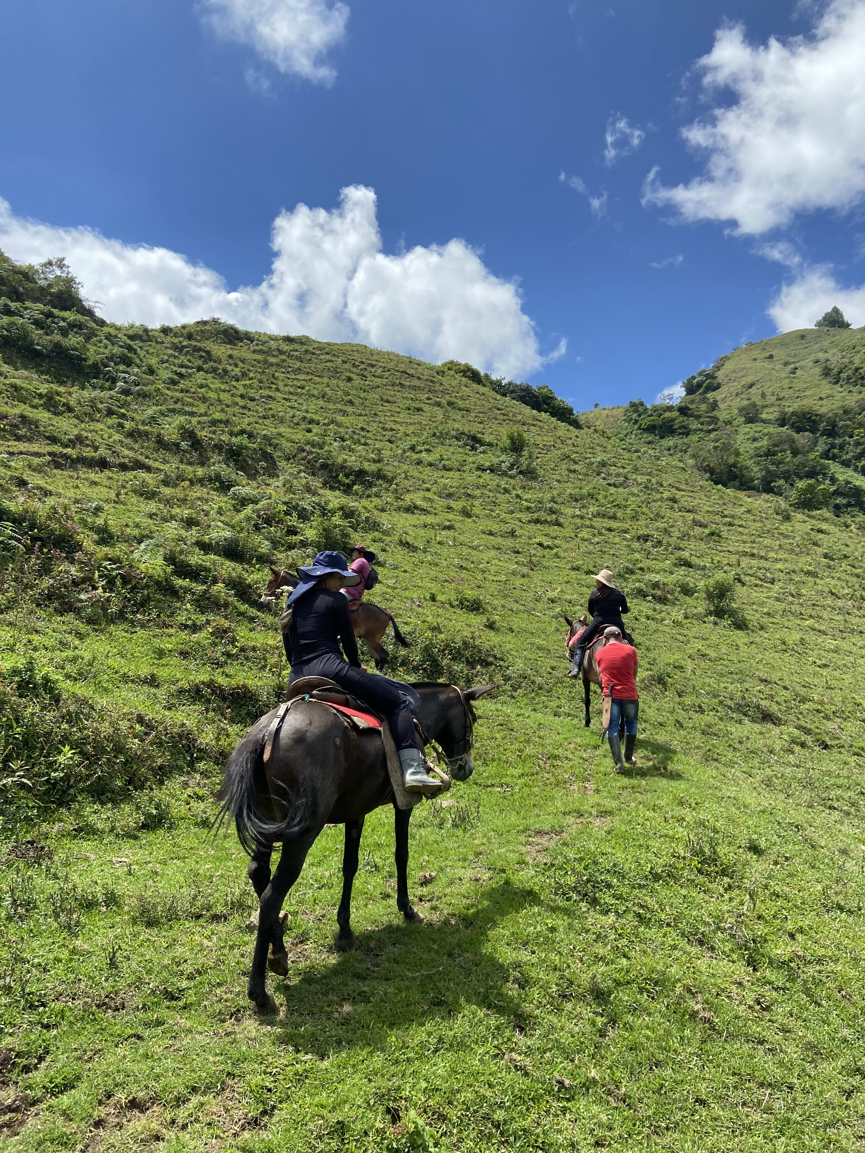Ascenso en mula — Salto del Aures