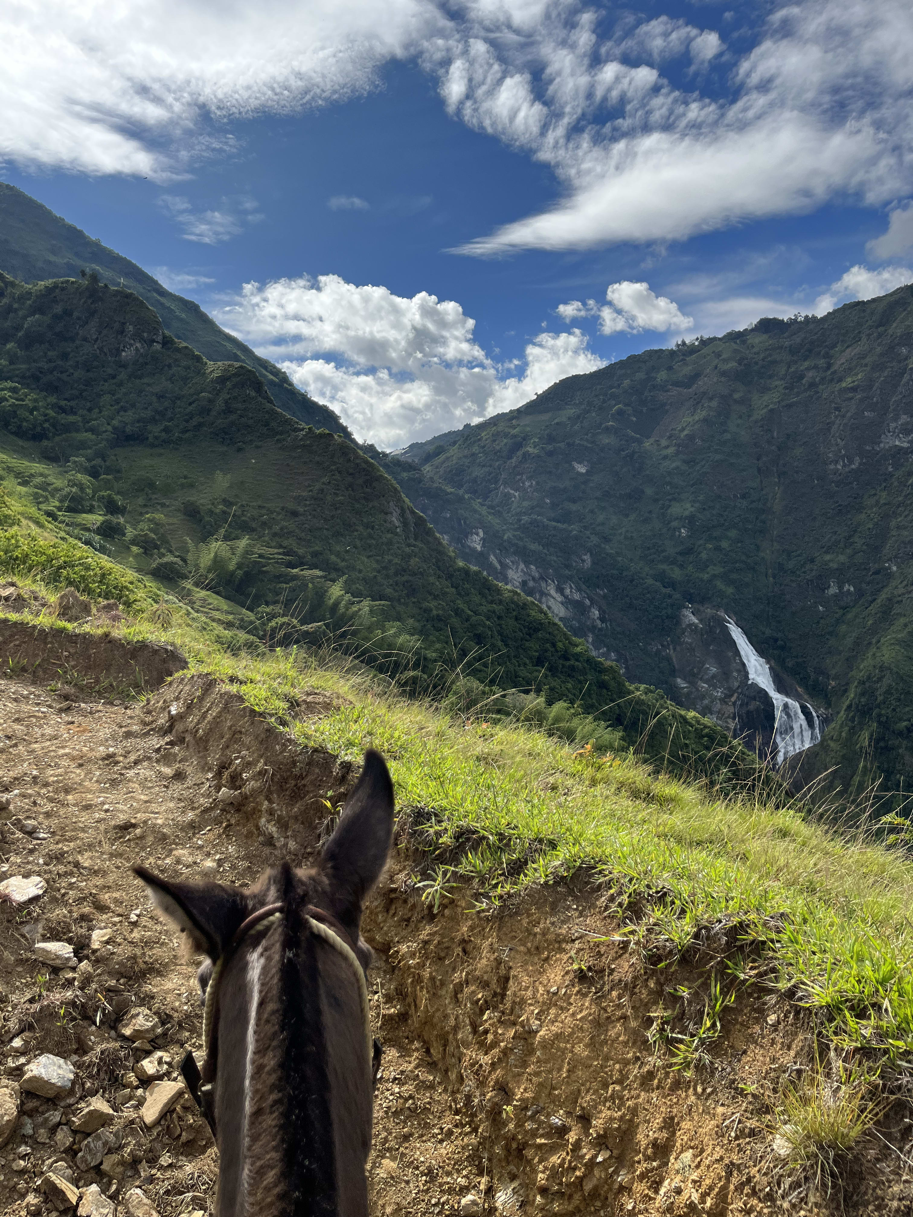 Bosque y sendero Cañón del Aures