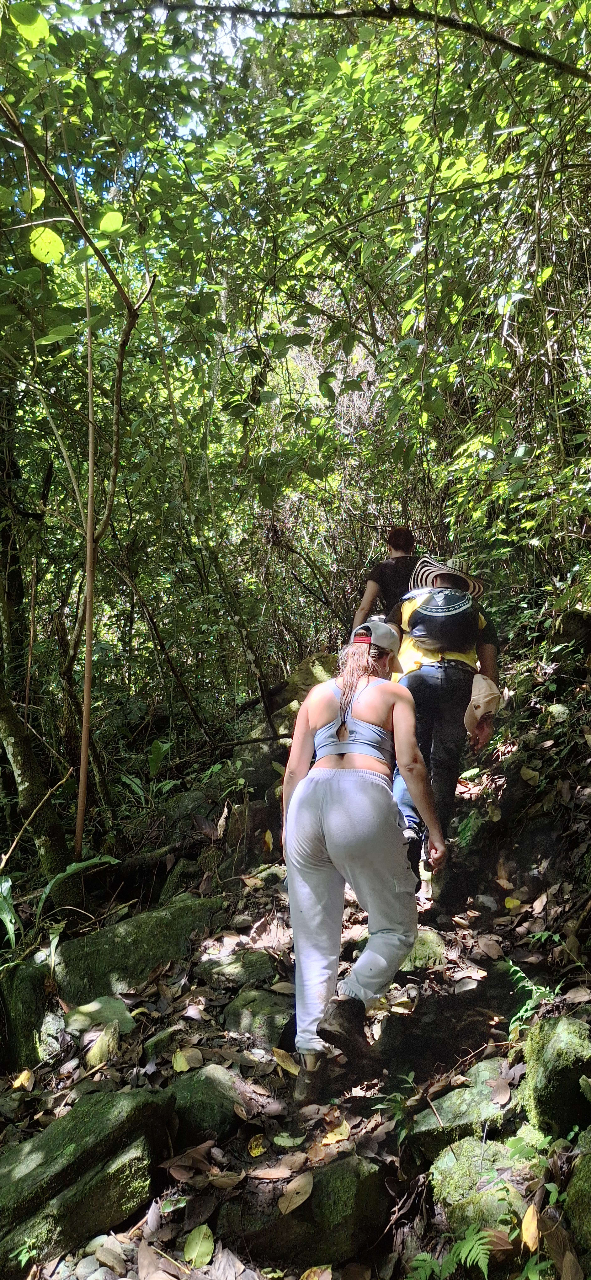 Sendero Vereda Carrizales