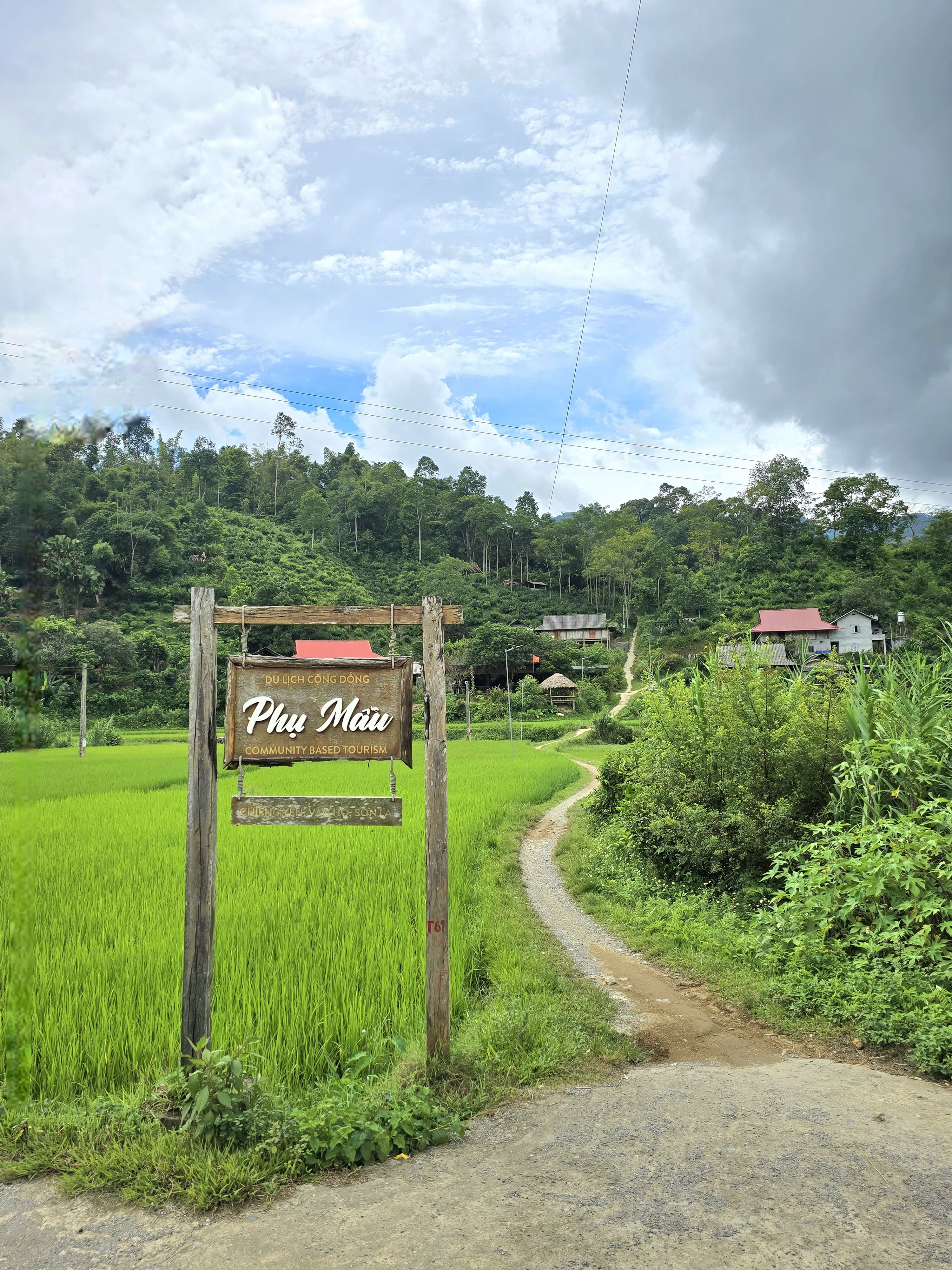 Về Bản Phụ Mẫu