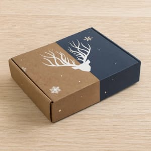 Printed Christmas Eve Packaging UK