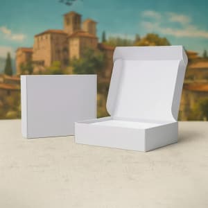 White mailer box showing white inner and outer surfaces