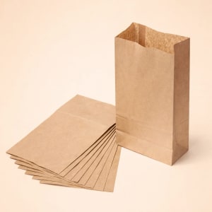 kraft paper lunch boxes
