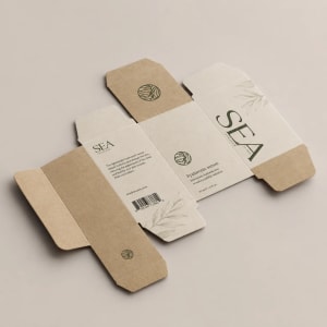 Reverse Tuck End Boxes