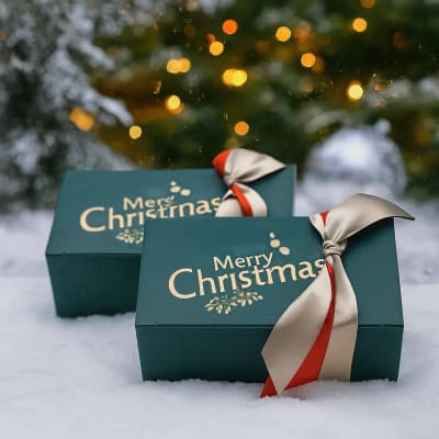 Printed Christmas mailer packaging with holiday graphics