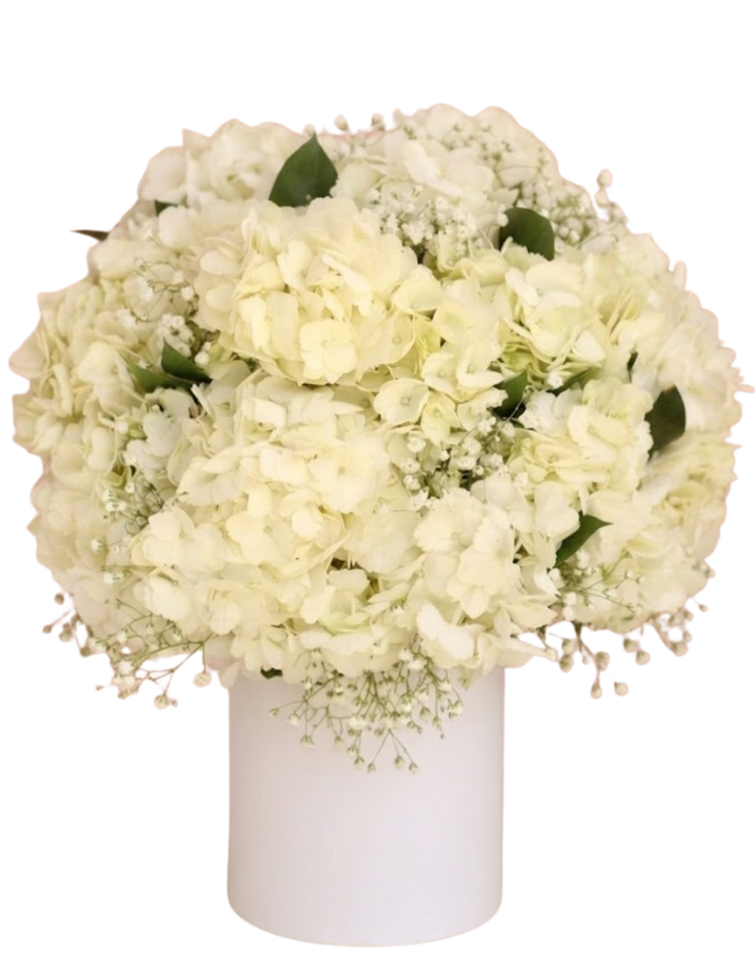 Ramo de flores y Hortensias | Guayaquil - Floreria DIFIORI Guayaquil