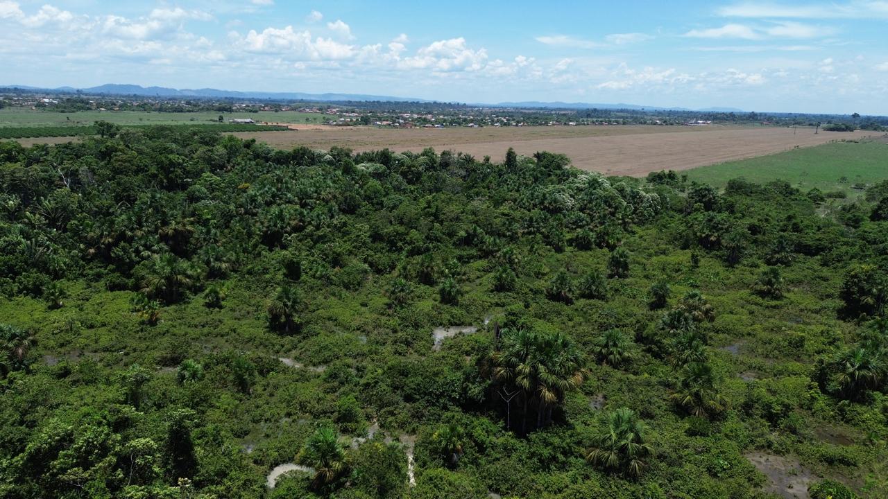 Vista aérea mostrando mata encostada na propriedade