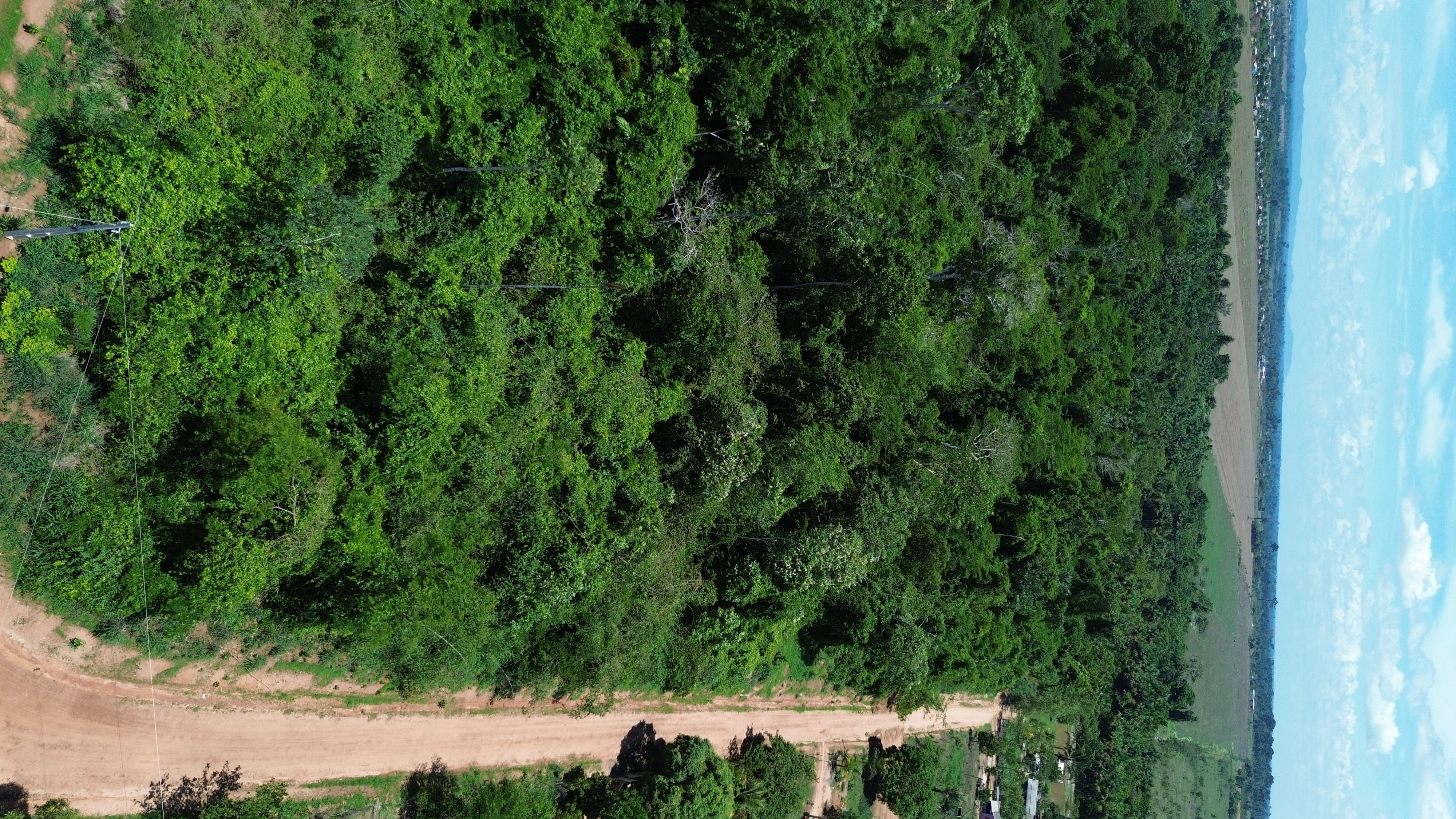 Imagem vertical com estrada de terra dentro da propriedade