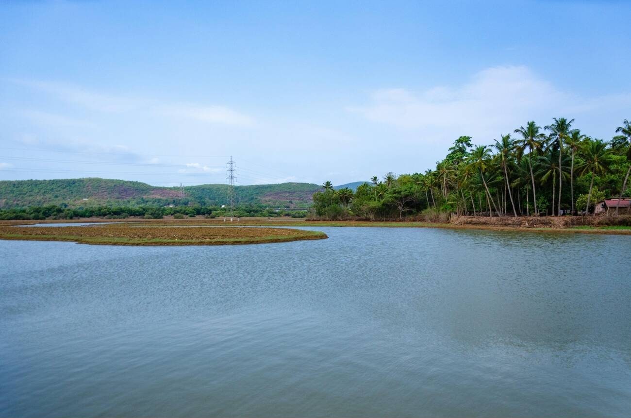 Summer Season in Goa