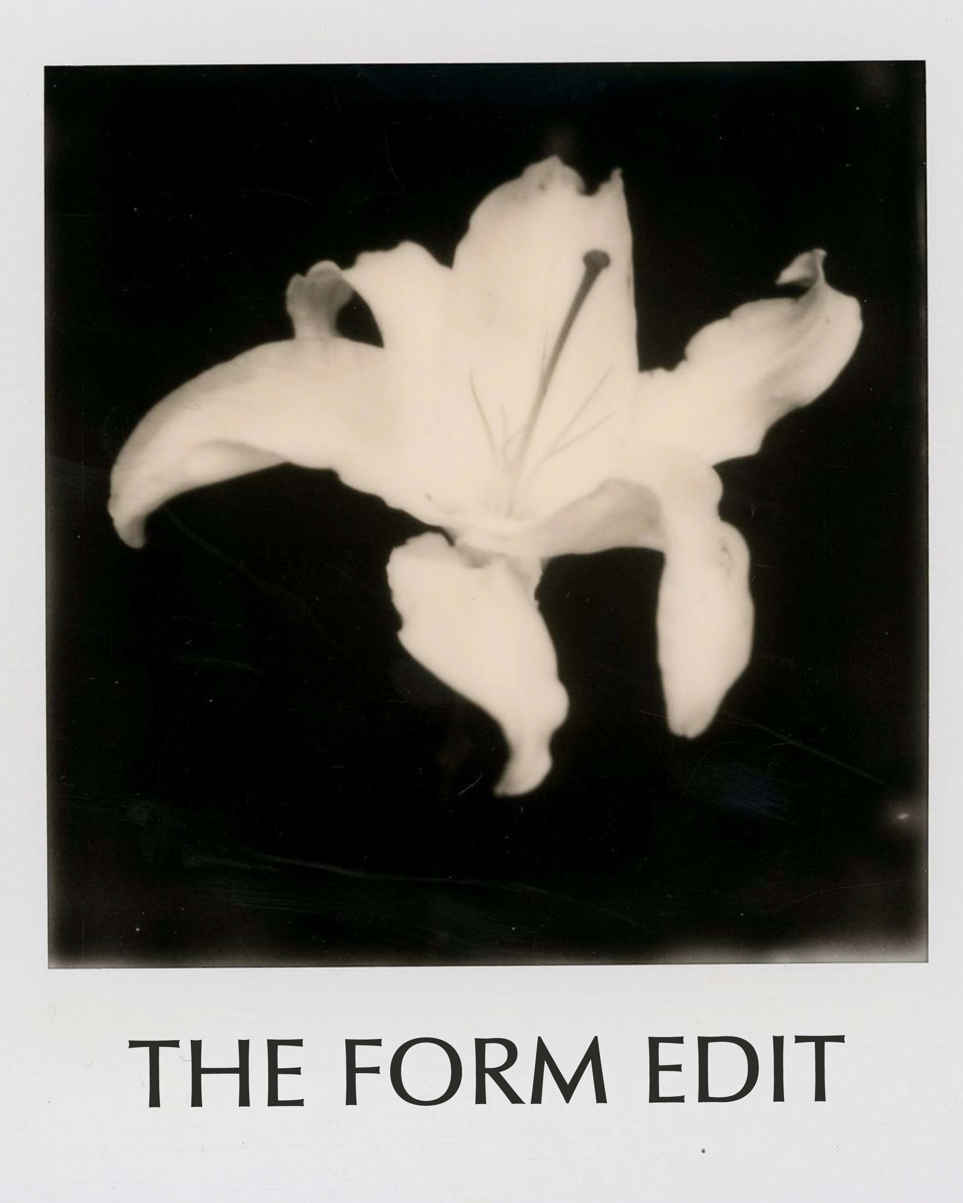 THE FORM EDIT — pieza 3 de la galería