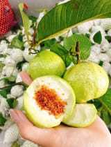 Trái Cây Thanh Sơn