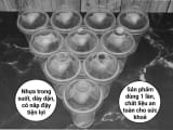 Ly nhựa nắp cầu HNFPP 500ml (10 cái)
