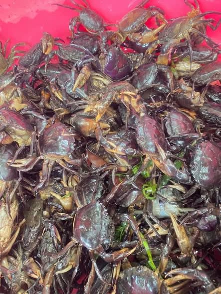 CUA ĐỒNG XAY nguyên chất 1KG