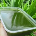 Sương Sâm Sạch Bến Tre