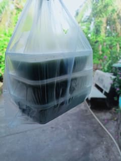 combo giải nhiệt phố thị 3 hộp=3kg