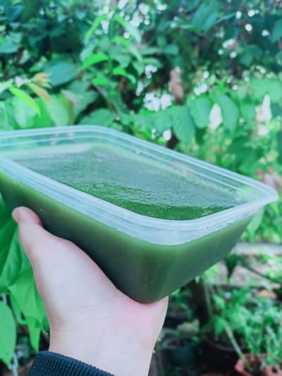 ​Sâm Nhà Làm