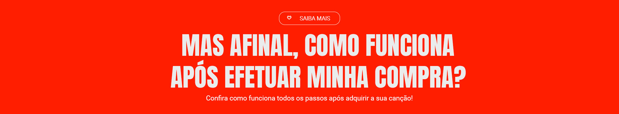 CRIE UMA MÚSICA PARA SEU PET EM 4 PASSOS SIMPLES - Confira os passos para criar uma música exclusiva para o seu melhor amigo.