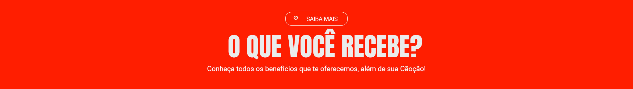 CRIE UMA MÚSICA PARA SEU PET EM 4 PASSOS SIMPLES - Confira os passos para criar uma música exclusiva para o seu melhor amigo.
