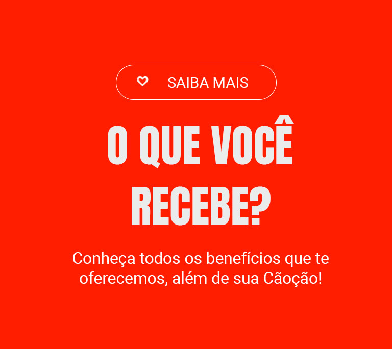 CRIE UMA MÚSICA PARA SEU PET EM 4 PASSOS SIMPLES - Confira os passos para criar uma música exclusiva para o seu melhor amigo.