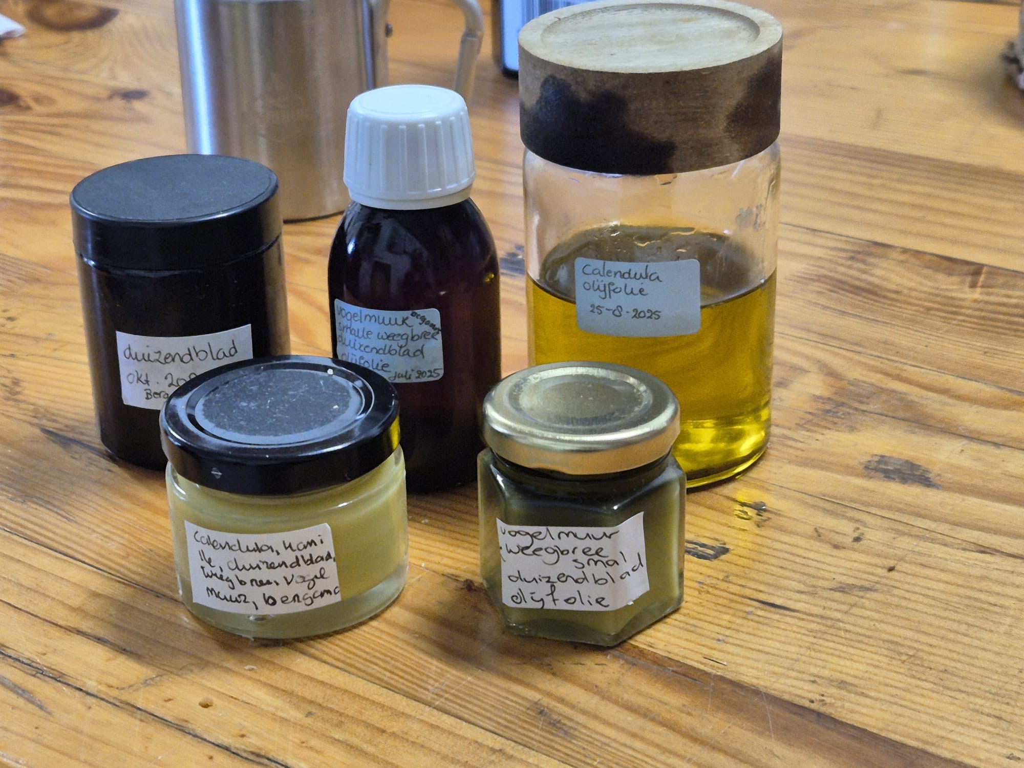 Medicinale planten en hun gebruik