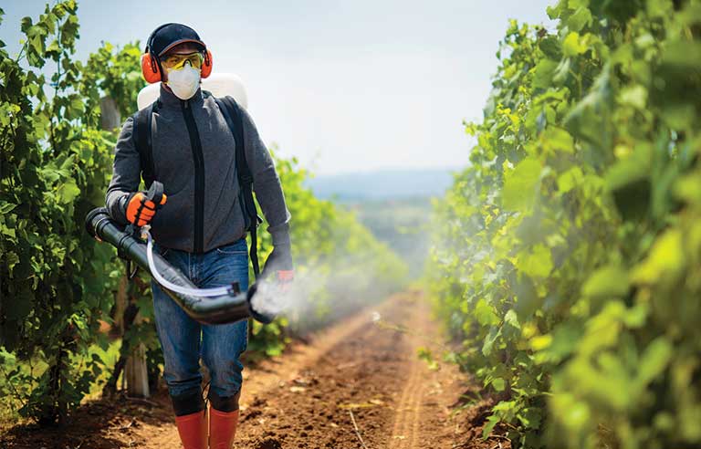 Pesticides
