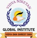 Vidya Niketan College of Engineering, Bota Sangamner logo