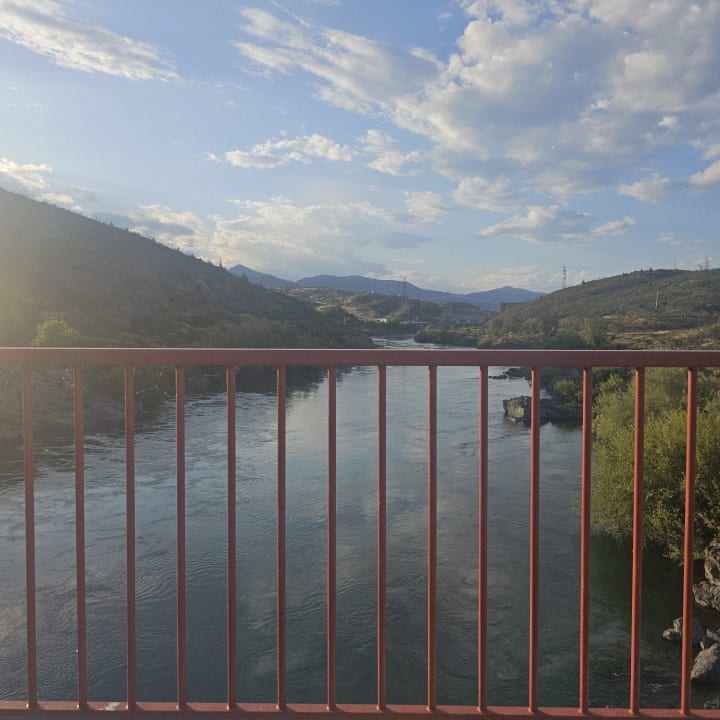 bridgey