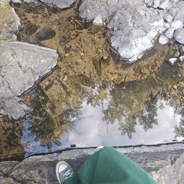 reflect