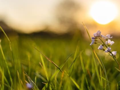 Вильфанд пообещал, что месяцы на несколько дней поменяются местами  в Подмосковье