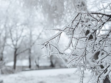 В Чите голый 10-летний мальчик со шрамом на пояснице ушёл из дома и пропал