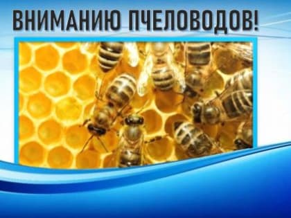 Вниманию пчеловодов!