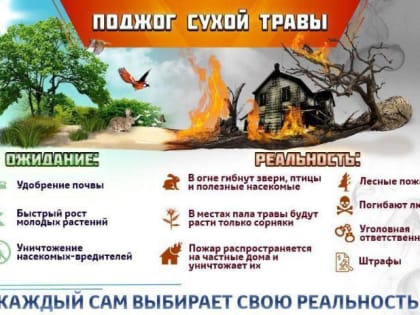 Пал сухой травы запрещен законом!