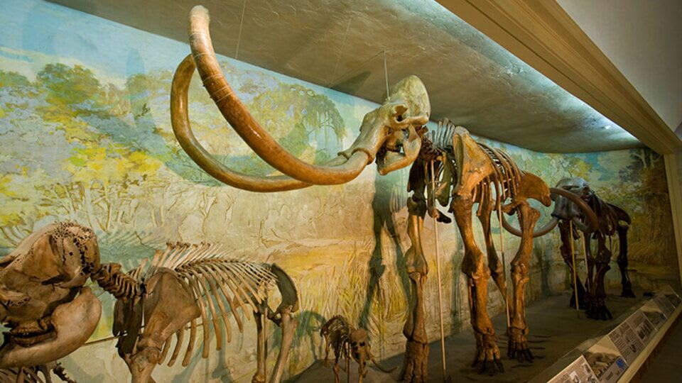 Morrill Hall