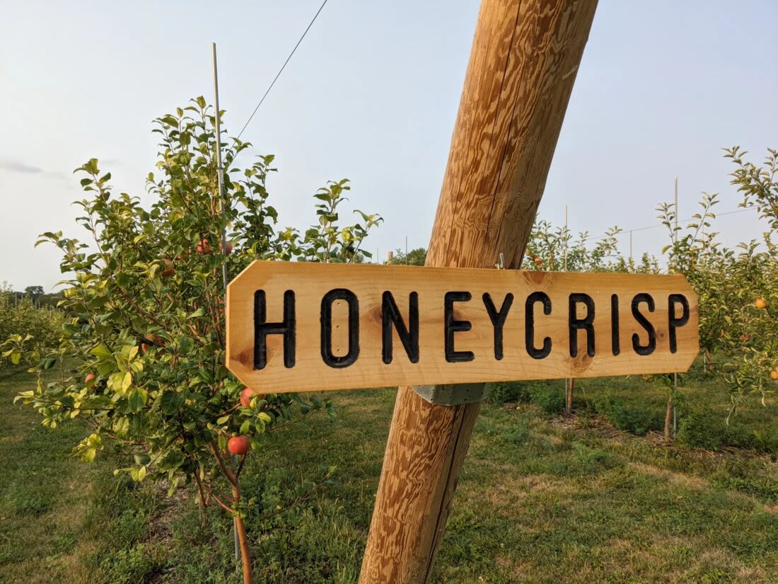Picnic Hill Orchard