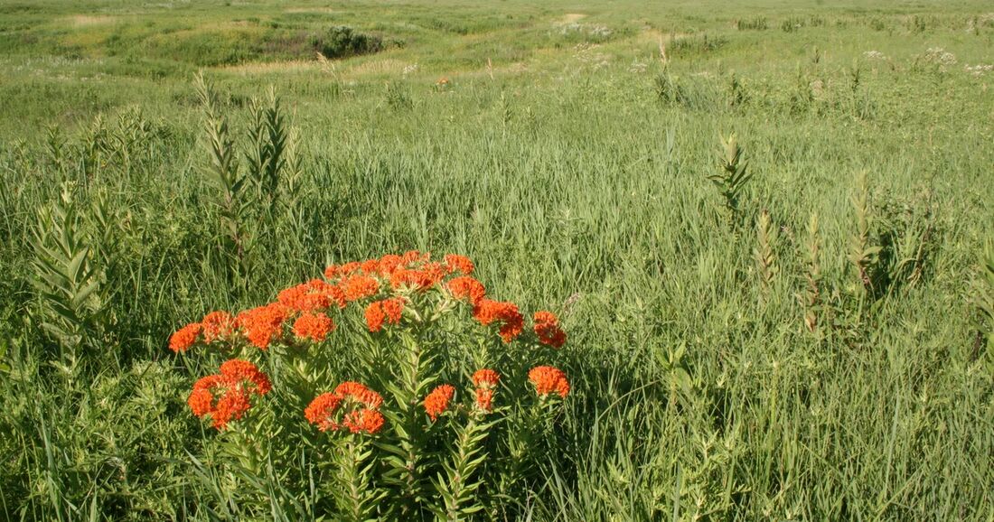Spring Creek Prairie Audubon Center