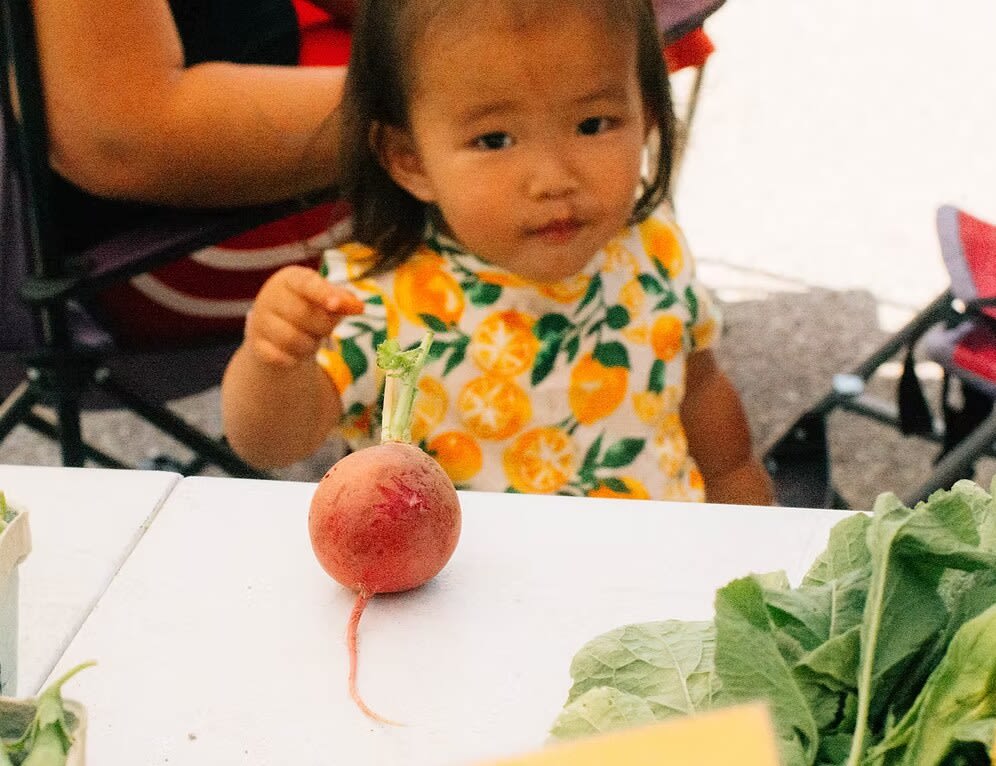 Sunday Farmers' Market at College View