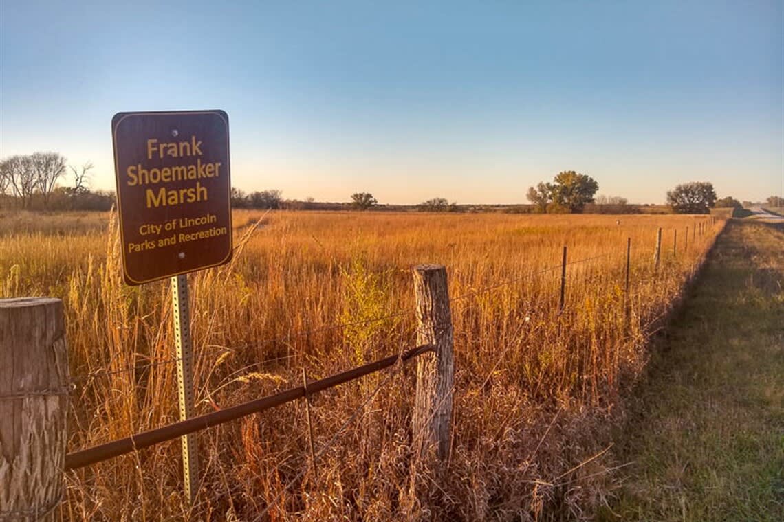 Frank Shoemaker Marsh