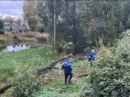 Русло реки Сары в этом году очистят от иловых отложений