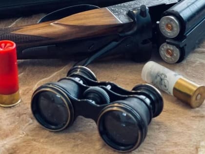 Снова лоси: в Ярославской области задержали еще одного браконьера