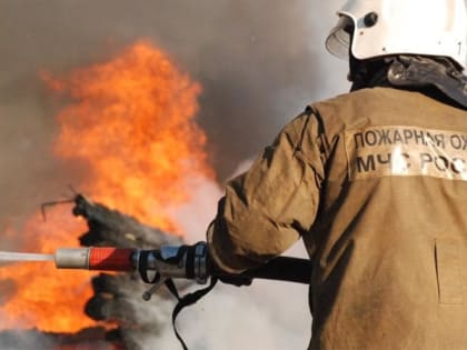 Жителям региона напомнили о наказании за пал сухой травы