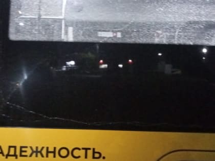 В Ярославле задержали подростка, стрелявшего по автобусам