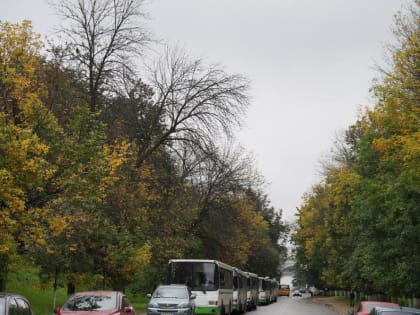 Зеленый Ярославль «сохнет»: город близок к экологической катастрофе