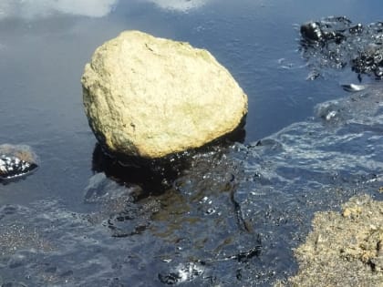 В Ярославской области на реке Волге ввели режим ЧС