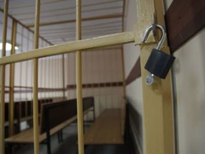 Суд оставил без изменений приговор ярославскому бизнесмену-педофилу