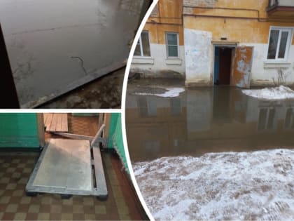 Мы живём в болоте: ярославцы просят губернатора помочь с тонущим домом
